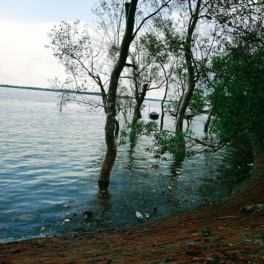 Unwind Amidst Verdant Stillness
